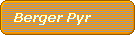 Berger Pyr