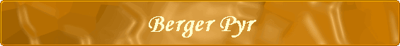 Berger Pyr