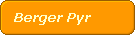 Berger Pyr