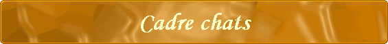 Cadre chats