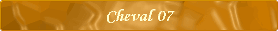 Cheval 07