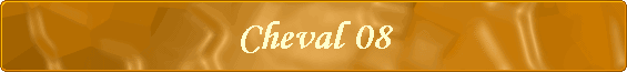 Cheval 08