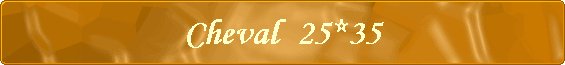 Cheval  25*35