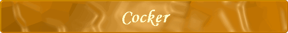 Cocker