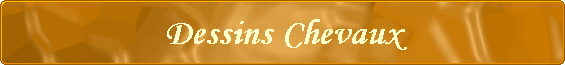 Dessins Chevaux