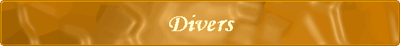 Divers