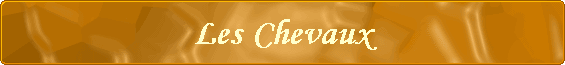 Les Chevaux