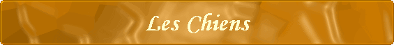 Les Chiens