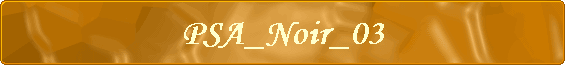 PSA_Noir_03