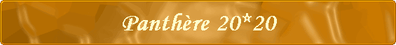 Panthre 20*20