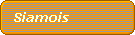 Siamois 