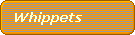 Whippets