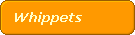 Whippets
