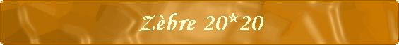 Zbre 20*20