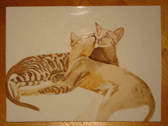 calins03
