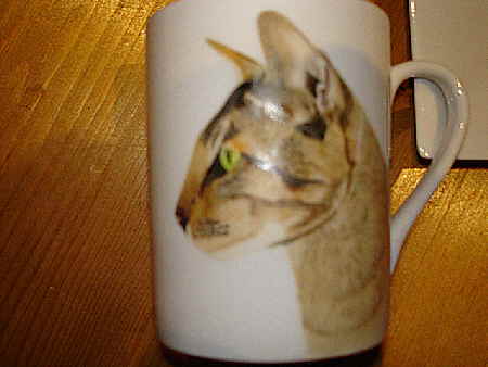 mug everglade 005m04