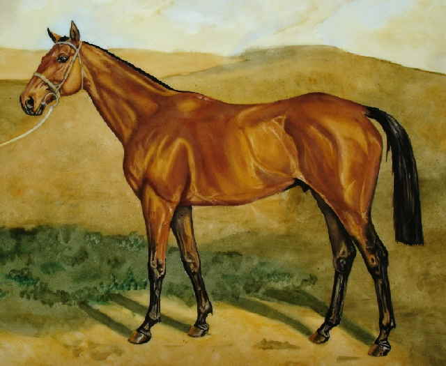 porcelaine cheval cv05