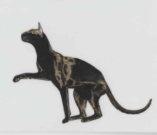 scanner isotope06