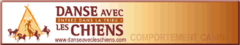 dans_avec_chiens_banniere6_65