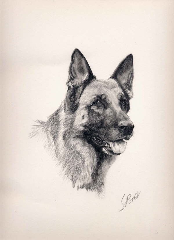 db_dessin_BA_Phedre2