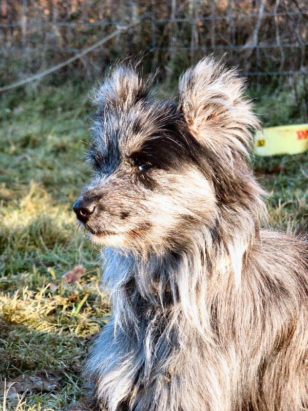 db_ouk_PICT0002m1202