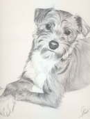 db_romeo_fini04