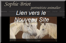 link_N_Site