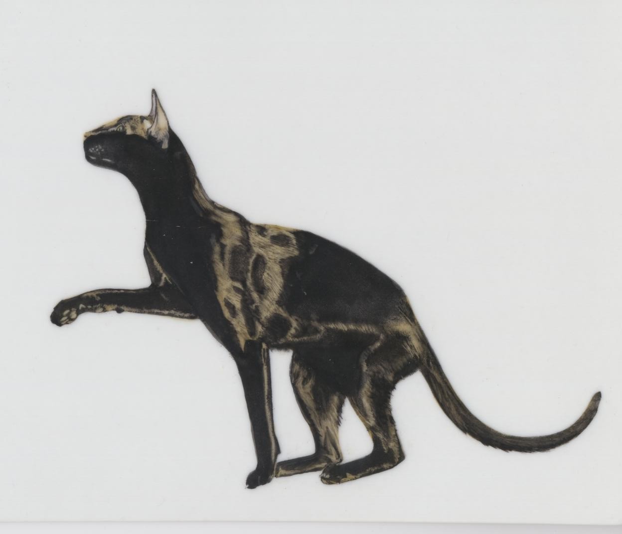scanner isotope05